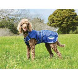 Hondenhoes 0g Weatherbeeta ComFiTec Deluxe Hondenhoes 0g Weatherbeeta ComFiTec Deluxe