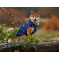Weatherbeeta Deluxe ComFiTec hondenhoes Donkerblauw / grijs / wit Weatherbeeta Deluxe ComFiTec hondenhoes Donkerblauw / grijs / wit