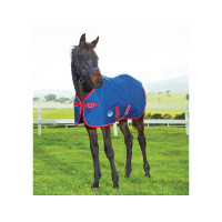 Dekje voor Veulen 220g Weatherbeeta 1200D Marineblauw / rood / wit