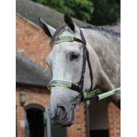 Kit 4 pièces réflechissant pour bridon Weatherbeeta Jaune Kit 4 pièces réflechissant pour bridon Weatherbeeta Jaune