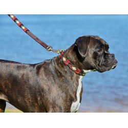 Laisse pour chien Weatherbeeta cuir Polo Marron cowdray / noir / rouge / blanc Multi-couleurs