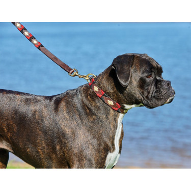 Weerbestendige leren hondenhalsband Polo Weerbestendige leren hondenhalsband Polo