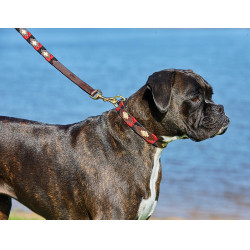Laisse pour chien Weatherbeeta cuir Polo Marron cowdray / noir / rouge / blanc Multi-couleurs