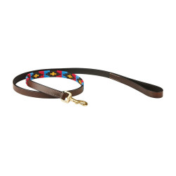 Laisse pour chien Weatherbeeta cuir Polo Marron cowdray / rose / bleu / jaune Multi-couleurs