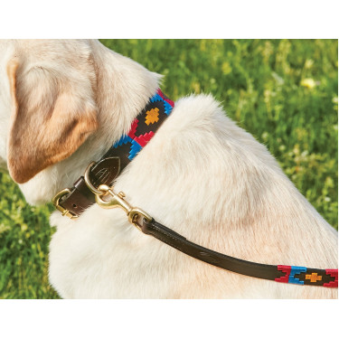 Weerbestendige leren hondenhalsband Polo Kastanjebruin cowdray / roze / blauw / geel Multicolor