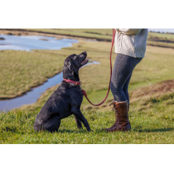 Laisse pour chien Weatherbeeta cuir rond Bordeaux Laisse pour chien Weatherbeeta cuir rond Bordeaux