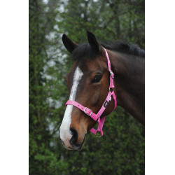 Economische Saxon halster Roze