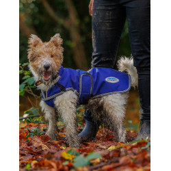 Hondenhoes 220g Weatherbeeta ComFiTec Deluxe Hondenhoes 220g Weatherbeeta ComFiTec Deluxe
