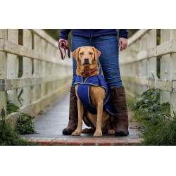 Hondenhoes 220g Weatherbeeta ComFiTec Deluxe Hondenhoes 220g Weatherbeeta ComFiTec Deluxe