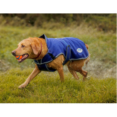 Hondenhoes 220g Weatherbeeta ComFiTec Deluxe Hondenhoes 220g Weatherbeeta ComFiTec Deluxe