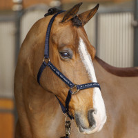 Licol HV Polo Nena Bleu marine Licol HV Polo Nena Bleu marine