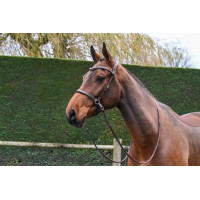 Bridon Bitloos Jump'In One Zwart