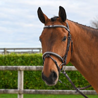 Bridon Clincher Jump'In One Premium Havane Marron Bridon Clincher Jump'In One Premium Havane Marron