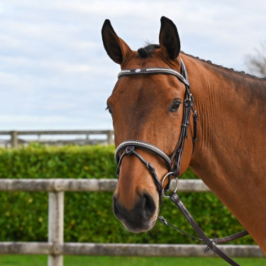 Hoofdstel Clincher Jump'In One Premium Hoofdstel Clincher Jump'In One Premium