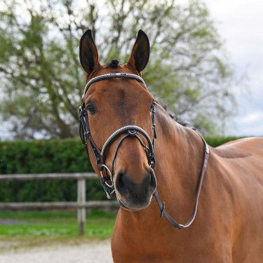 Hoofdstel Clincher Jump'In One Premium Hoofdstel Clincher Jump'In One Premium