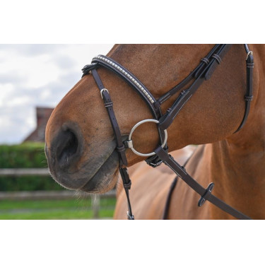 Hoofdstel Clincher Jump'In One Premium Hoofdstel Clincher Jump'In One Premium