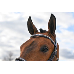 Bridon Clincher Jump'In One Premium Havane Marron Bridon Clincher Jump'In One Premium Havane Marron