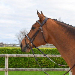 Bridon Clincher Jump'In One Premium Havane Marron Bridon Clincher Jump'In One Premium Havane Marron