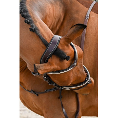 Hoofdstel Clincher Jump'In One Premium Hoofdstel Clincher Jump'In One Premium