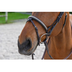 Bridon Clincher Jump'In One Premium Havane Marron Bridon Clincher Jump'In One Premium Havane Marron