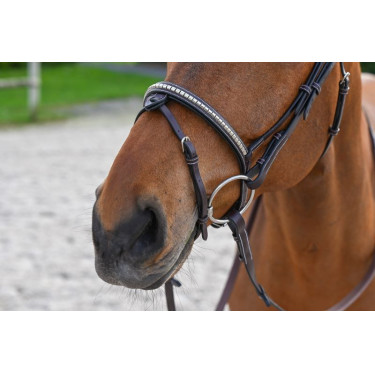 Hoofdstel Clincher Jump'In One Premium Hoofdstel Clincher Jump'In One Premium