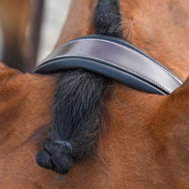 Hoofdstel Clincher Jump'In One Premium Hoofdstel Clincher Jump'In One Premium