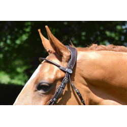 Bridon Friday muserolle combinée Jump'In week