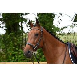 Hackamore Hoofdstel Jump'In week Zwart