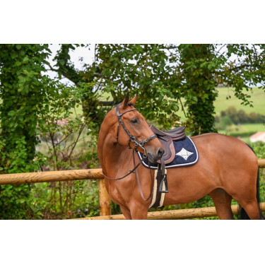 Hackamore Hoofdstel Jump'In week