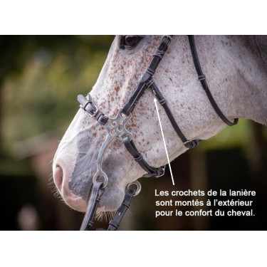 Hackamore Hoofdstel Jump'In week Zwart Hackamore Hoofdstel Jump'In week Zwart