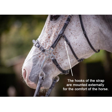 Hackamore Hoofdstel Jump'In week Zwart Hackamore Hoofdstel Jump'In week Zwart