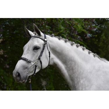 Hackamore Hoofdstel Jump'In week Zwart Hackamore Hoofdstel Jump'In week Zwart