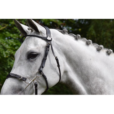Hackamore Hoofdstel Jump'In week Zwart Hackamore Hoofdstel Jump'In week Zwart