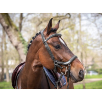 Bridon Jump'In Summer anatomische neusriem week Zwart Bridon Jump'In Summer anatomische neusriem week Zwart