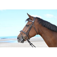 Bridon Jump'In Tuesday muserolle combinée week Havane Bridon Jump'In Tuesday muserolle combinée week Havane