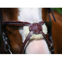 Bridon Jump'In Tuesday muserolle croisée week Havane Bridon Jump'In Tuesday muserolle croisée week Havane