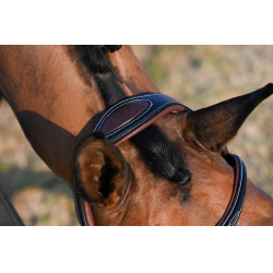 Bridon Liberty Jump'In One Bridon Liberty Jump'In One