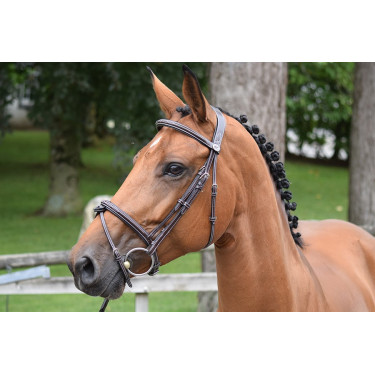 Bridon Thursday gecombineerde neusriem Jump'In week