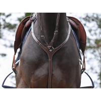 Borsttuig Clincher en martingaal Jump'In One Premium Noisette