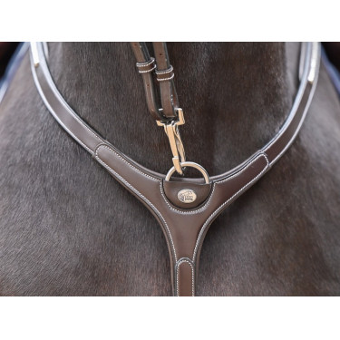 Collier de chasse Clincher et martingale Jump'In One Premium Collier de chasse Clincher et martingale Jump'In One Premium
