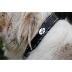 Collier pour chien Jump'In Noir Collier pour chien Jump'In Noir