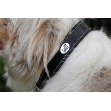 Halsband voor hond Jump'In Zwart Halsband voor hond Jump'In Zwart