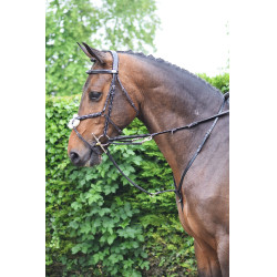 Enrênement Jump'In Howlett Enrênement Jump'In Howlett