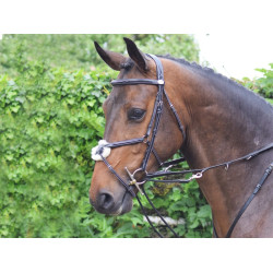 Enrênement Jump'In Howlett Enrênement Jump'In Howlett