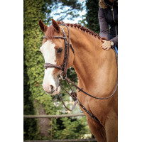 Enrênement Jump'In Patrick Havane Marron Enrênement Jump'In Patrick Havane Marron