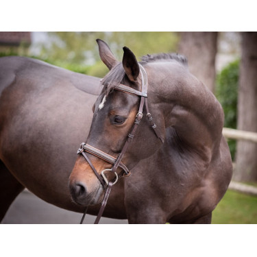 Filet Jump'In Crystal gecombineerde neusriem Week Filet Jump'In Crystal gecombineerde neusriem Week