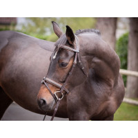 Filet Jump'In Crystal muserolle combinée Week Havane cristal bleu Filet Jump'In Crystal muserolle combinée Week Havane cristal bleu