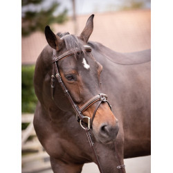 Filet Jump'In Crystal gecombineerde neusriem Week Havana Bruin Filet Jump'In Crystal gecombineerde neusriem Week Havana Bruin