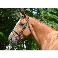 Filet Jump'In Monday gecombineerde neusriem week Havana Bruin Filet Jump'In Monday gecombineerde neusriem week Havana Bruin