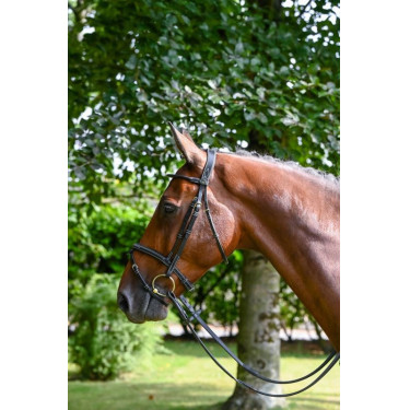 Filet Jump'In Monday gecombineerde neusriem week Filet Jump'In Monday gecombineerde neusriem week